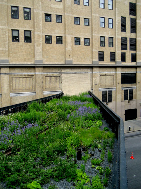 high line